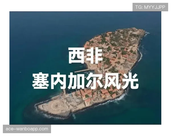塞内加尔能否复制历史辉煌 塞内加尔能否复制历史辉煌